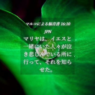 Picture 04 - マルコによる福音書 16:10 JPN - マリヤは、イエスと一緒にいた人々 - Bible Verse Picture