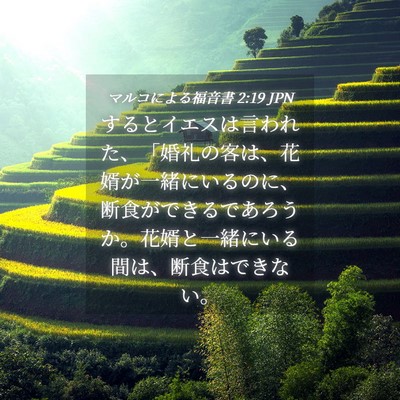 Picture 04 - マルコによる福音書 2:19 JPN - するとイエスは言われた、「婚礼の - Bible Verse Picture