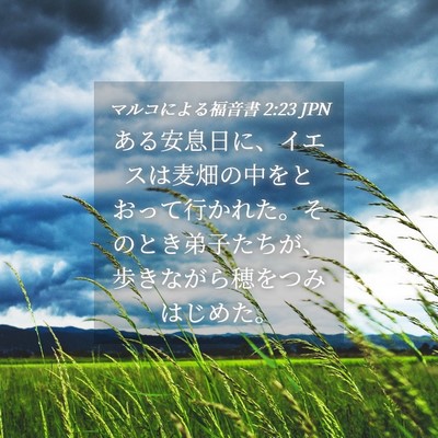 Picture 04 - マルコによる福音書 2:23 JPN - ある安息日に、イエスは麦畑の中を - Bible Verse Picture