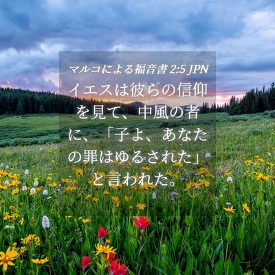 Picture 04 - マルコによる福音書 2:5 JPN - イエスは彼らの信仰を見て、中風の - Bible Verse Picture