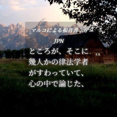 Picture 04 - マルコによる福音書 2:6 JPN - ところが、そこに幾人かの律法学者 - Bible Verse Picture