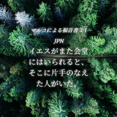 Picture 04 - マルコによる福音書 3:1 JPN - イエスがまた会堂にはいられると、 - Bible Verse Picture