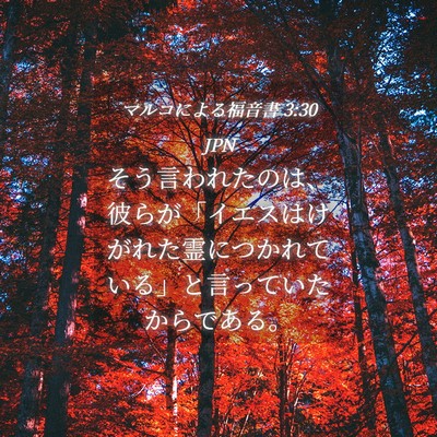 Picture 04 - マルコによる福音書 3:30 JPN - そう言われたのは、彼らが「イエス - Bible Verse Picture