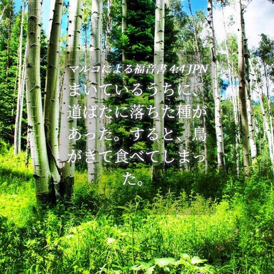 Picture 04 - マルコによる福音書 4:4 JPN - まいているうちに、道ばたに落ちた - Bible Verse Picture