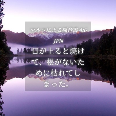 Picture 04 - マルコによる福音書 4:6 JPN - 日が上ると焼けて、根がないために - Bible Verse Picture