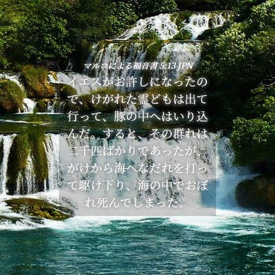 Picture 04 - マルコによる福音書 5:13 JPN - イエスがお許しになったので、けが - Bible Verse Picture