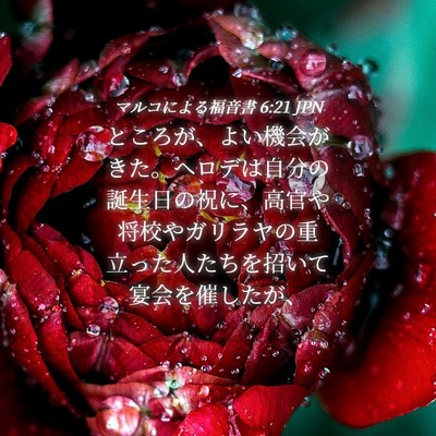 Picture 04 - マルコによる福音書 6:21 JPN - ところが、よい機会がきた。ヘロデ - Bible Verse Picture