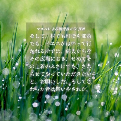 Picture 04 - マルコによる福音書 6:56 JPN - そして、村でも町でも部落でも、イ - Bible Verse Picture