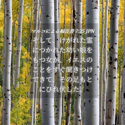 Picture 04 - マルコによる福音書 7:25 JPN - そして、けがれた霊につかれた幼い - Bible Verse Picture