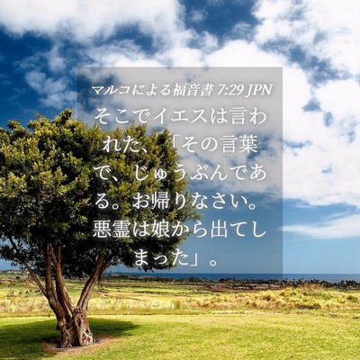 Picture 04 - マルコによる福音書 7:29 JPN - そこでイエスは言われた、「その言 - Bible Verse Picture