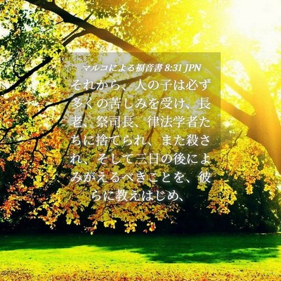 Picture 04 - マルコによる福音書 8:31 JPN - それから、人の子は必ず多くの苦し - Bible Verse Picture
