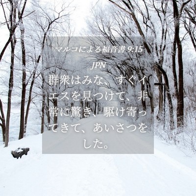 Picture 04 - マルコによる福音書 9:15 JPN - 群衆はみな、すぐイエスを見つけて - Bible Verse Picture