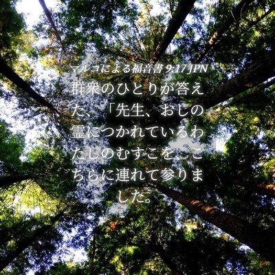 Picture 04 - マルコによる福音書 9:17 JPN - 群衆のひとりが答えた、「先生、お - Bible Verse Picture