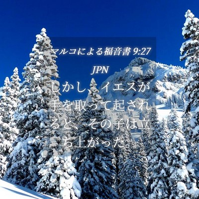 Picture 04 - マルコによる福音書 9:27 JPN - しかし、イエスが手を取って起され - Bible Verse Picture