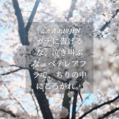 Picture 04 - ミカ書 1:10 JPN - ガテに告げるな、泣き叫ぶな。ベテ - Bible Verse Picture