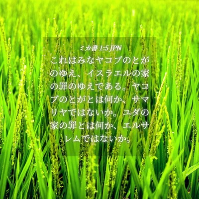 Picture 04 - ミカ書 1:5 JPN - これはみなヤコブのとがのゆえ、イ - Bible Verse Picture