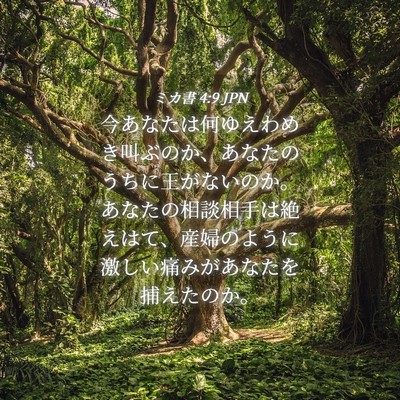 Picture 04 - ミカ書 4:9 JPN - 今あなたは何ゆえわめき叫ぶのか、 - Bible Verse Picture