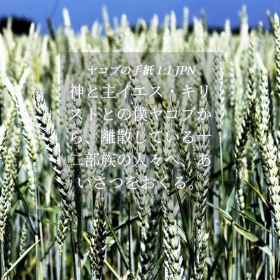 Picture 04 - ヤコブの手紙 1:1 JPN - 神と主イエス・キリストとの僕ヤコ - Bible Verse Picture