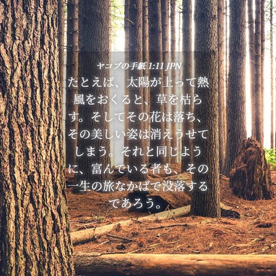 Picture 04 - ヤコブの手紙 1:11 JPN - たとえば、太陽が上って熱風をおく - Bible Verse Picture