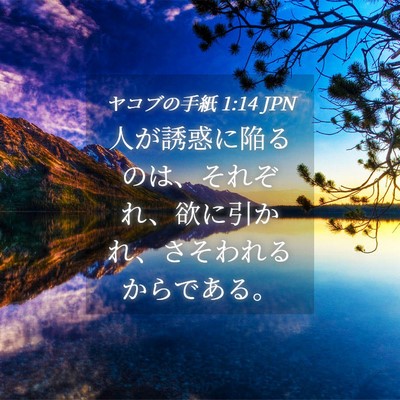 Picture 04 - ヤコブの手紙 1:14 JPN - 人が誘惑に陥るのは、それぞれ、欲 - Bible Verse Picture