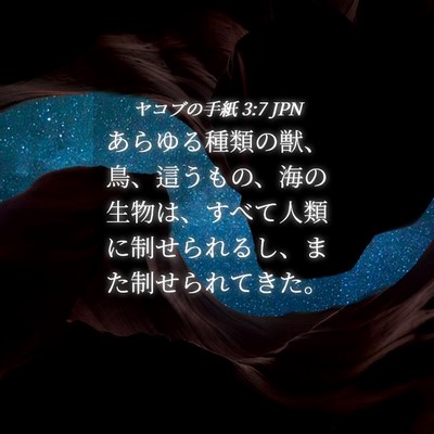 Picture 04 - ヤコブの手紙 3:7 JPN - あらゆる種類の獣、鳥、這うもの、 - Bible Verse Picture