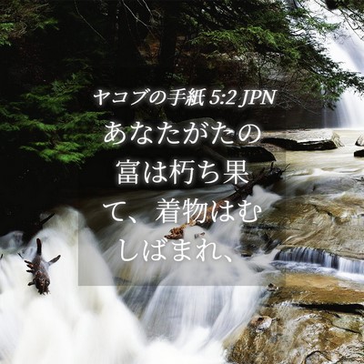 Picture 04 - ヤコブの手紙 5:2 JPN - あなたがたの富は朽ち果て、着物は - Bible Verse Picture