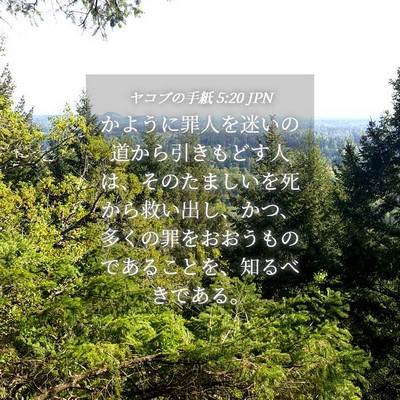 Picture 04 - ヤコブの手紙 5:20 JPN - かように罪人を迷いの道から引きも - Bible Verse Picture