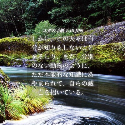 Picture 04 - ユダの手紙 1:10 JPN - しかし、この人々は自分が知りもし - Bible Verse Picture