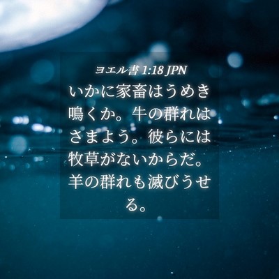 Picture 04 - ヨエル書 1:18 JPN - いかに家畜はうめき鳴くか。牛の群 - Bible Verse Picture