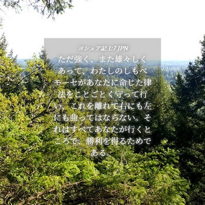Picture 04 - ヨシュア記 1:7 JPN - ただ強く、また雄々しくあって、わ - Bible Verse Picture