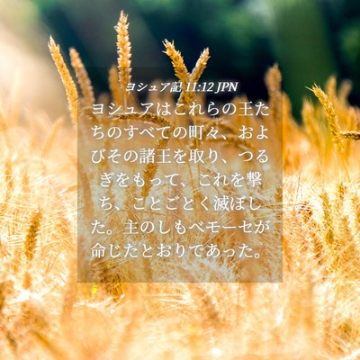 Picture 04 - ヨシュア記 11:12 JPN - ヨシュアはこれらの王たちのすべて - Bible Verse Picture