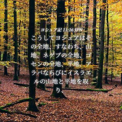 Picture 04 - ヨシュア記 11:16 JPN - こうしてヨシュアはその全地、すな - Bible Verse Picture