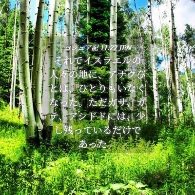 Picture 04 - ヨシュア記 11:22 JPN - それでイスラエルの人々の地に、ア - Bible Verse Picture