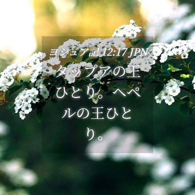 Picture 04 - ヨシュア記 12:17 JPN - タップアの王ひとり。ヘペルの王ひ - Bible Verse Picture