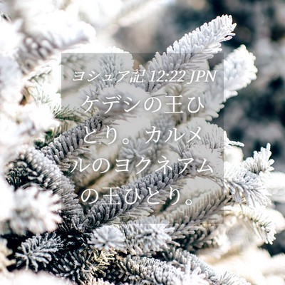 Picture 04 - ヨシュア記 12:22 JPN - ケデシの王ひとり。カルメルのヨク - Bible Verse Picture