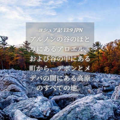 Picture 04 - ヨシュア記 13:9 JPN - アルノンの谷のほとりにあるアロエ - Bible Verse Picture