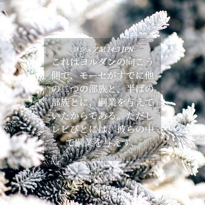 Picture 04 - ヨシュア記 14:3 JPN - これはヨルダンの向こう側で、モー - Bible Verse Picture