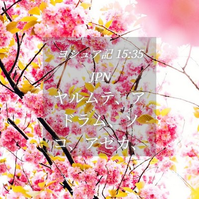 Picture 04 - ヨシュア記 15:35 JPN - ヤルムテ、アドラム、ソコ、アゼカ - Bible Verse Picture