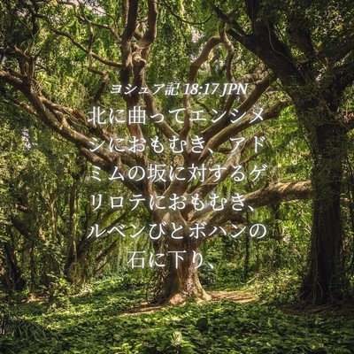 Picture 04 - ヨシュア記 18:17 JPN - 北に曲ってエンシメシにおもむき、 - Bible Verse Picture