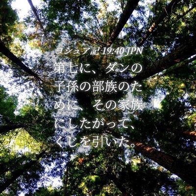 Picture 04 - ヨシュア記 19:40 JPN - 第七に、ダンの子孫の部族のために - Bible Verse Picture