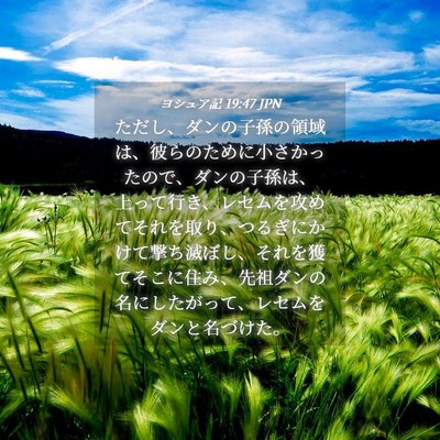 Picture 04 - ヨシュア記 19:47 JPN - ただし、ダンの子孫の領域は、彼ら - Bible Verse Picture