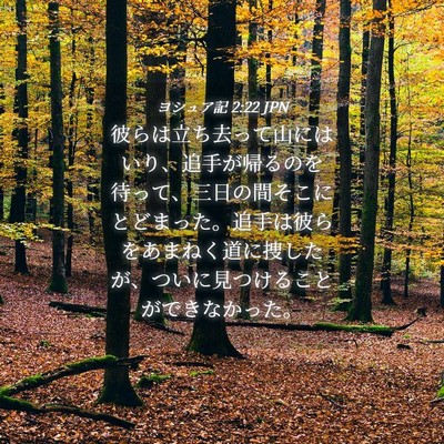 Picture 04 - ヨシュア記 2:22 JPN - 彼らは立ち去って山にはいり、追手 - Bible Verse Picture