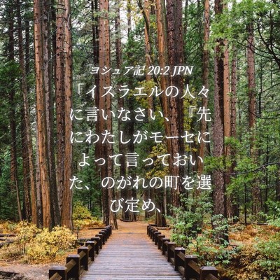 Picture 04 - ヨシュア記 20:2 JPN - 「イスラエルの人々に言いなさい、 - Bible Verse Picture