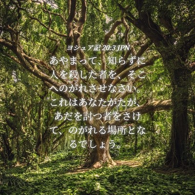 Picture 04 - ヨシュア記 20:3 JPN - あやまって、知らずに人を殺した者 - Bible Verse Picture