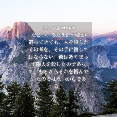 Picture 04 - ヨシュア記 20:5 JPN - たとい、あだを討つ者が追ってきて - Bible Verse Picture