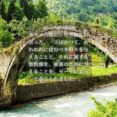 Picture 04 - ヨシュア記 21:2 JPN - カナンの地のシロで彼らに言った、 - Bible Verse Picture