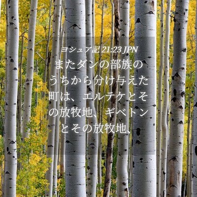 Picture 04 - ヨシュア記 21:23 JPN - またダンの部族のうちから分け与え - Bible Verse Picture