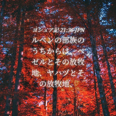 Picture 04 - ヨシュア記 21:36 JPN - ルベンの部族のうちからは、ベゼル - Bible Verse Picture