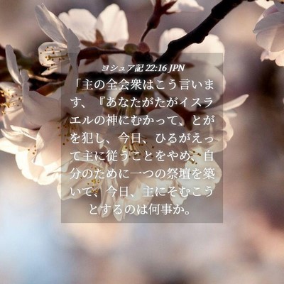 Picture 04 - ヨシュア記 22:16 JPN - 「主の全会衆はこう言います、『あ - Bible Verse Picture