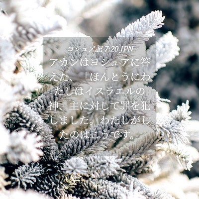Picture 04 - ヨシュア記 7:20 JPN - アカンはヨシュアに答えた、「ほん - Bible Verse Picture